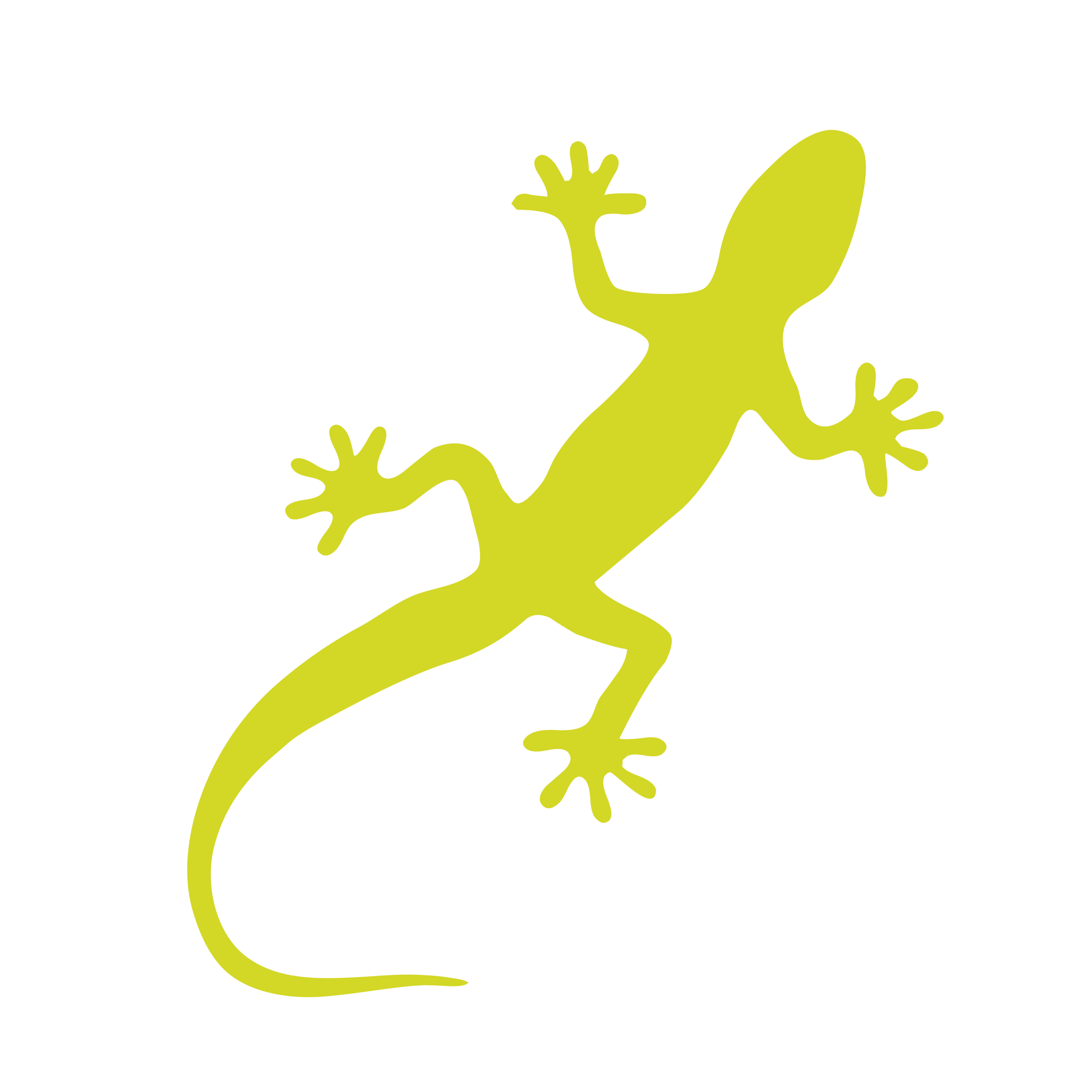 GECKO_Plan de travail 1