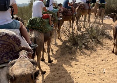 Méharée en dromadaire dans les dunes de sable proches d'Agadir